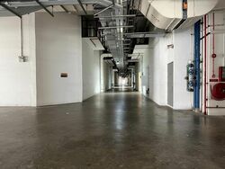 Oxley Bizhub (D14), Factory #458256311